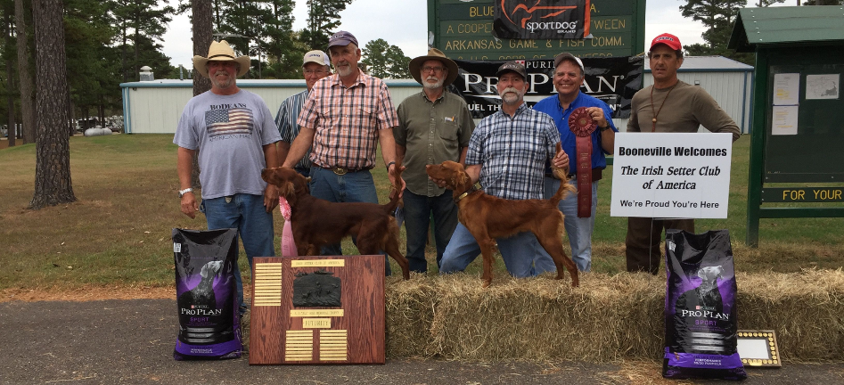 Irish Setters Club of America